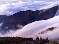 Wokół Pico de Las Nieves